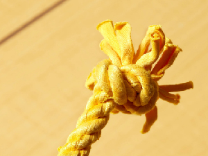 soft t-shirt rope on toy